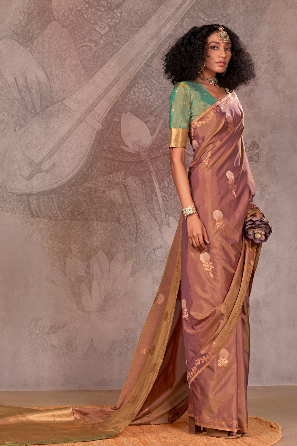Brown Tone Saree With Contrast Pallu And Blouse