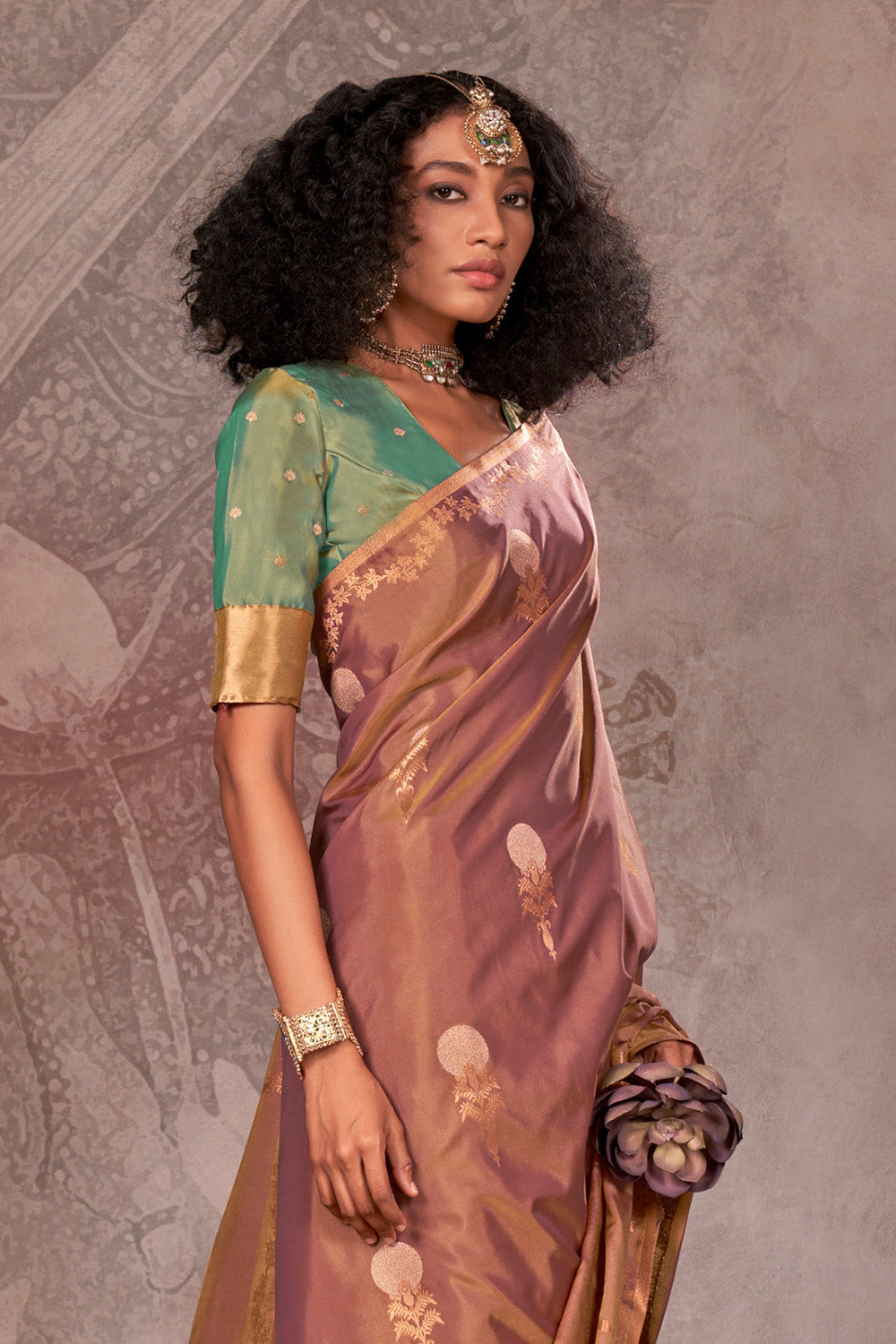 Brown Tone Saree With Contrast Pallu And Blouse