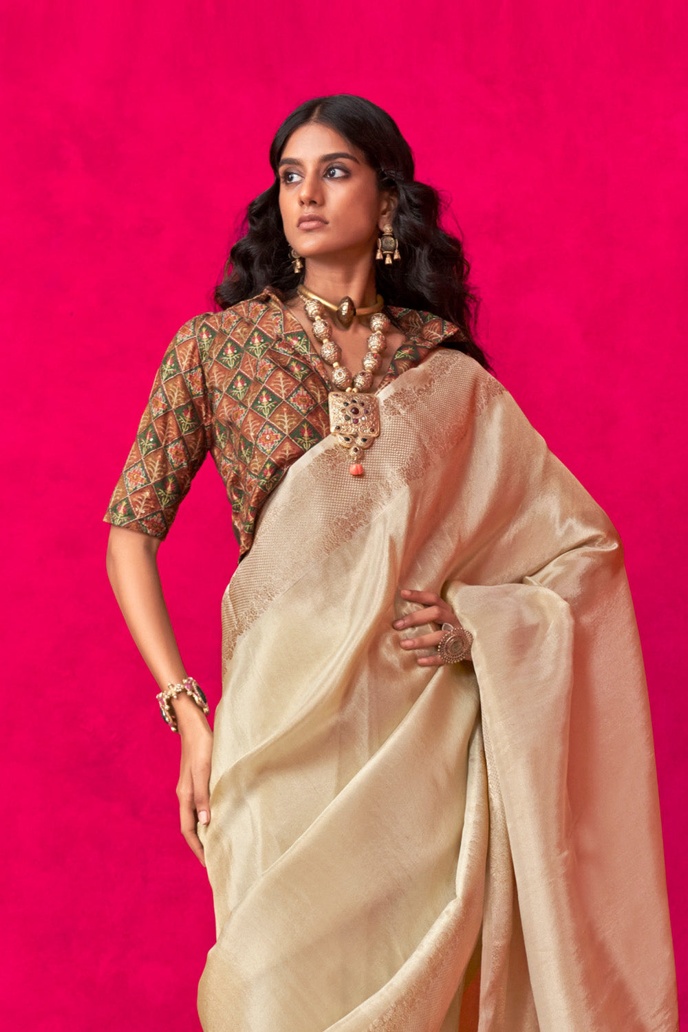 Beige Tissue Saree Embroidery And Position Print Blouse